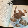 Album of North American Animals 1976 Book Clark Bronson Illustrations