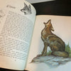 Album of North American Animals 1976 Book Clark Bronson Illustrations