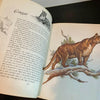 Album of North American Animals 1976 Book Clark Bronson Illustrations